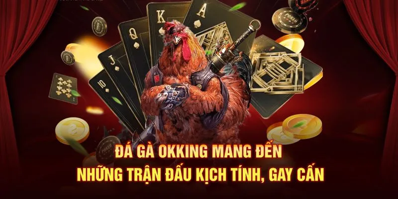 Đá gà OKKING mang đến những trận đấu kịch tính, gay cấn