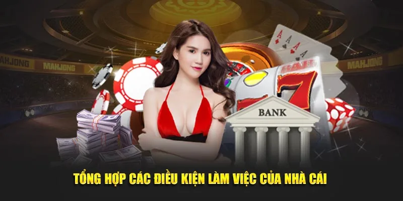 Tổng hợp các điều kiện làm việc của nhà cái