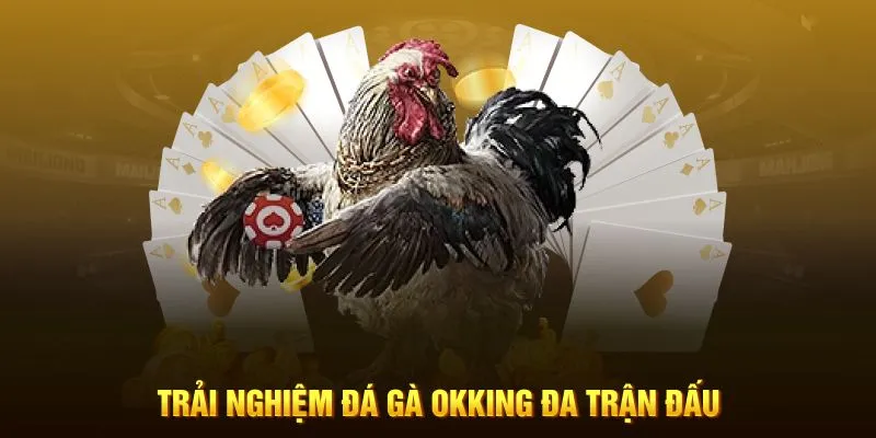 Trải nghiệm đá gà OKKING đa trận đấu